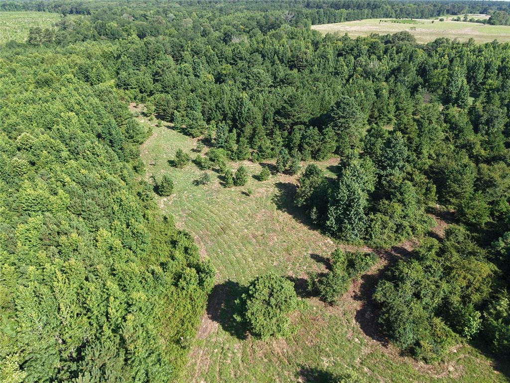 37 Tbd Butler Road Road Property Photo 12