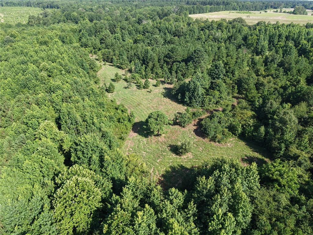 37 Tbd Butler Road Road Property Photo 13