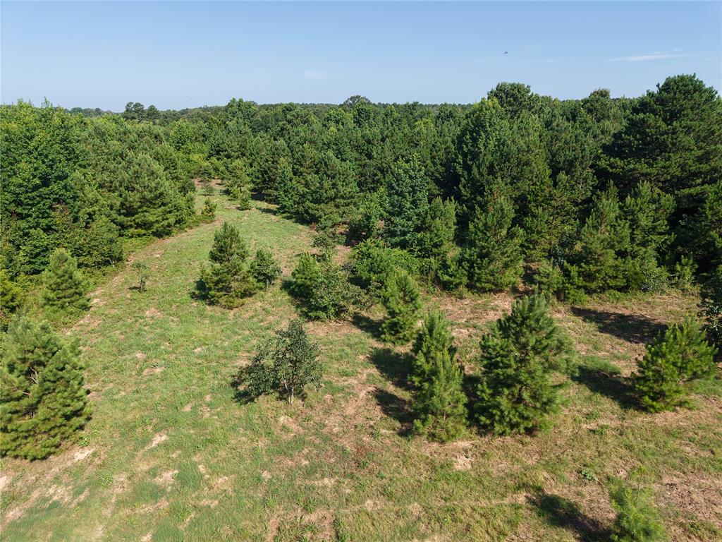 37 Tbd Butler Road Road Property Photo 16