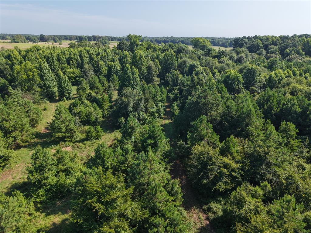 37 Tbd Butler Road Road Property Photo 20