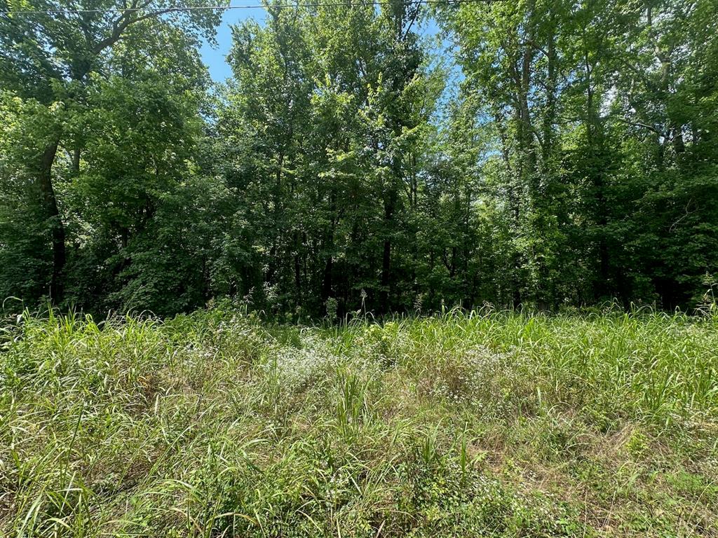 37 Tbd Butler Road Road Property Photo 28