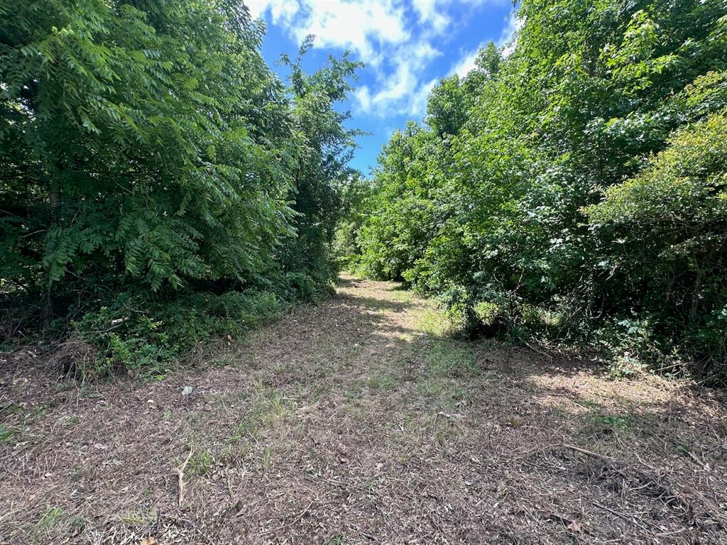 37 Tbd Butler Road Road Property Photo 29