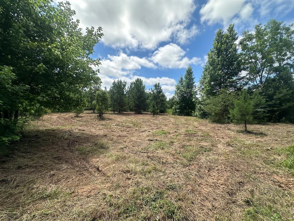 37 Tbd Butler Road Road Property Photo 30