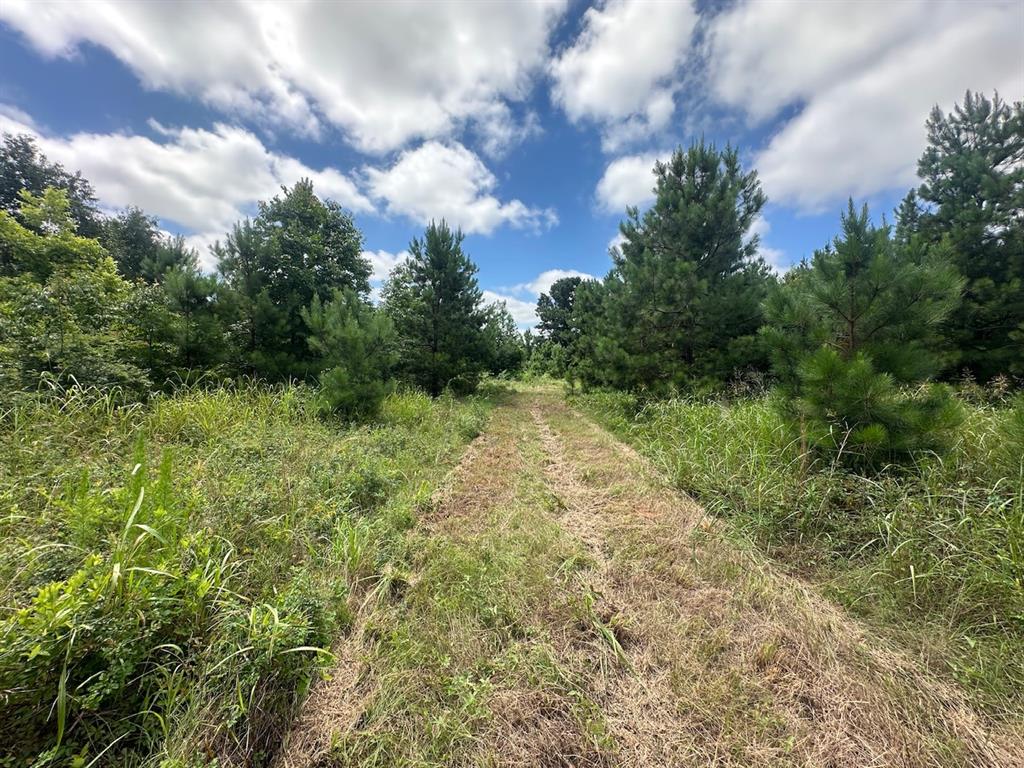 37 Tbd Butler Road Road Property Photo 31