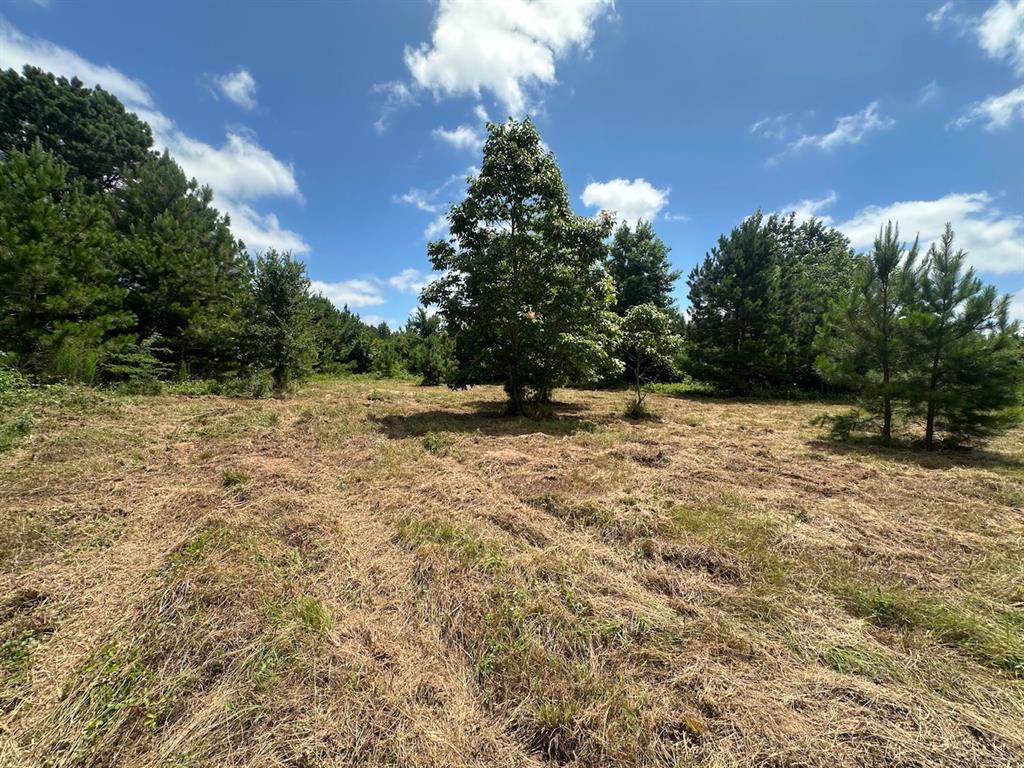 37 Tbd Butler Road Road Property Photo 32