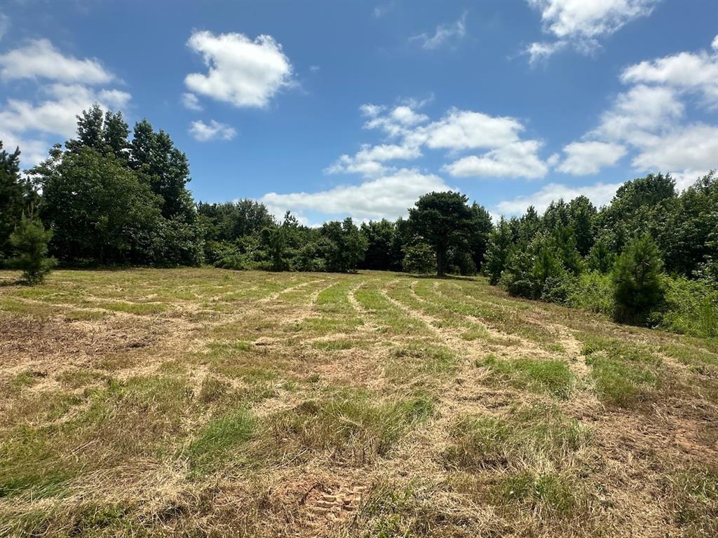 37 Tbd Butler Road Road Property Photo 33