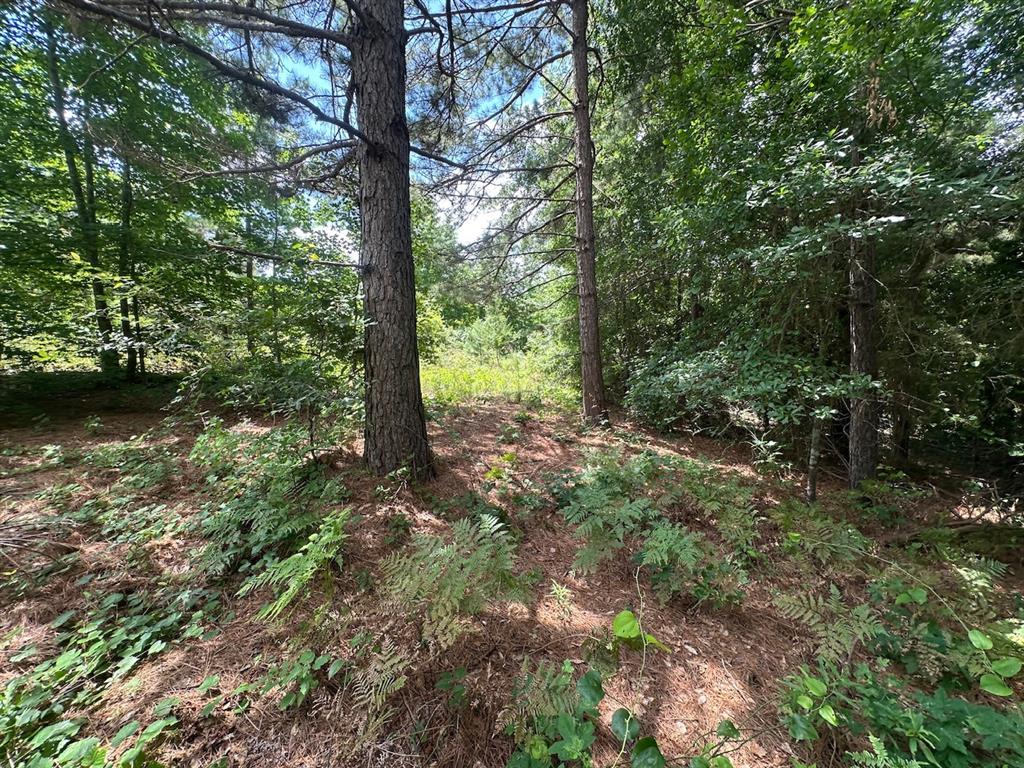 37 Tbd Butler Road Road Property Photo 35