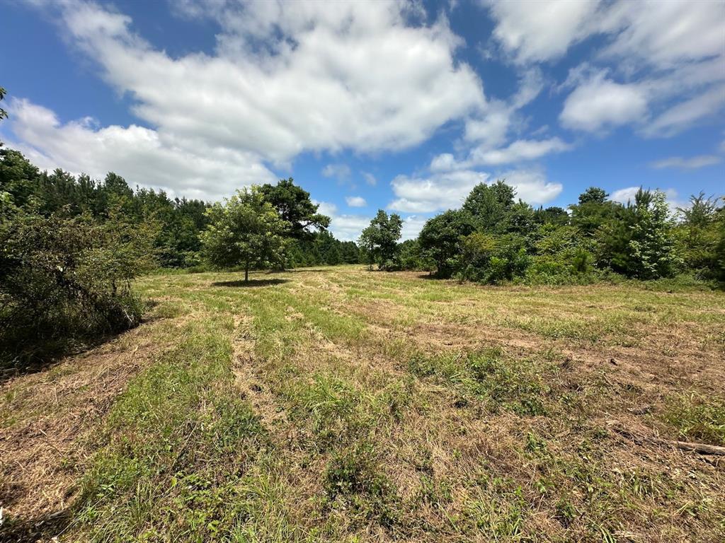 37 Tbd Butler Road Road Property Photo 37