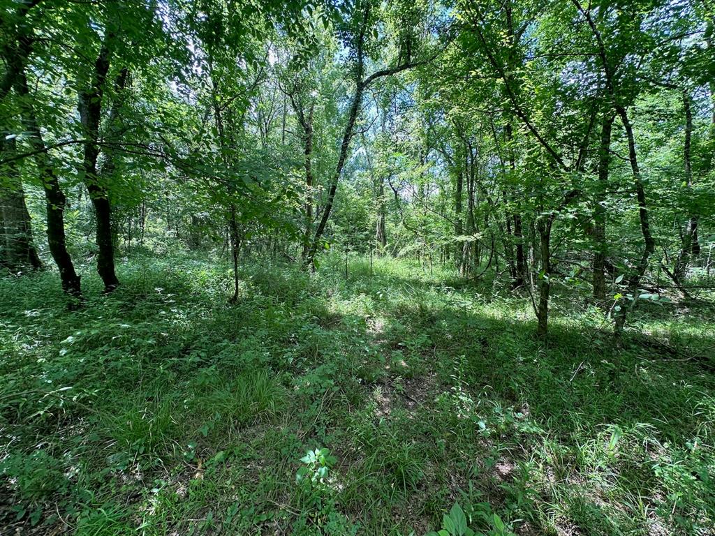37 Tbd Butler Road Road Property Photo 38