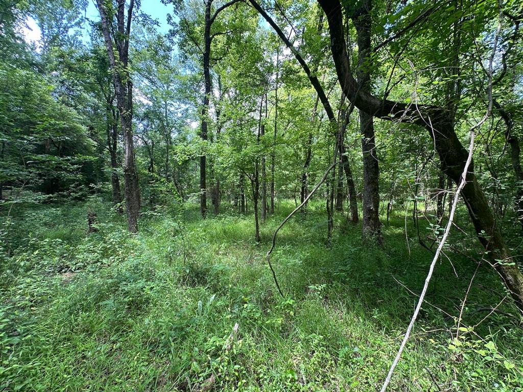 37 Tbd Butler Road Road Property Photo 39