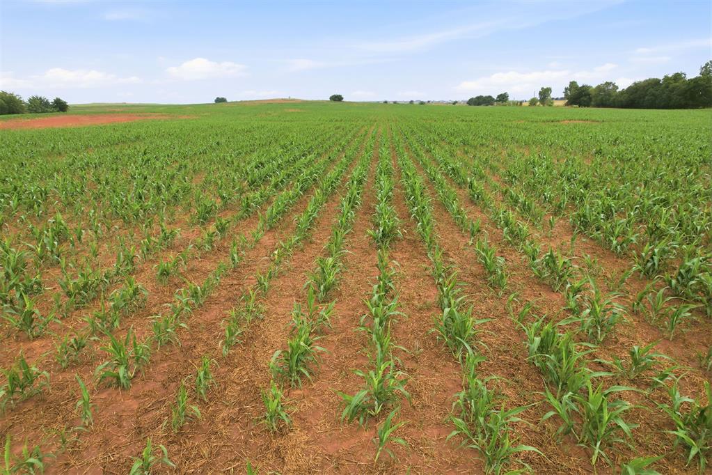 160 Acres, W Charter Oak/s Macarthur Property Photo 10