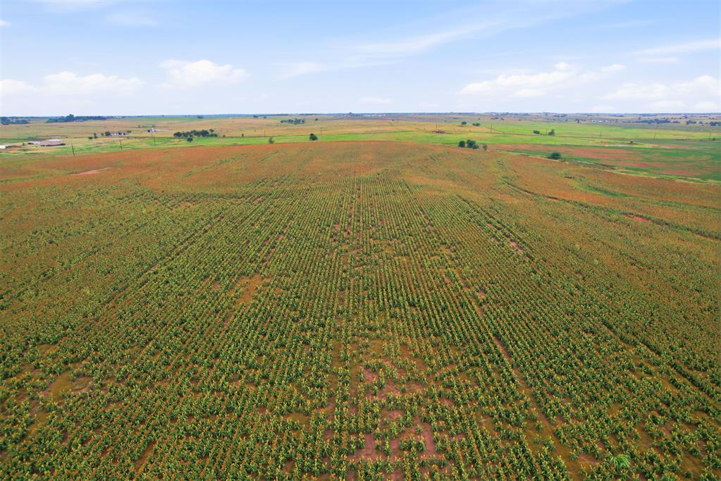160 Acres, W Charter Oak/s Macarthur Property Photo 17