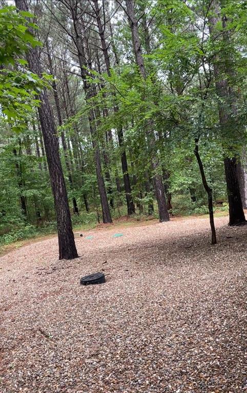 57 Hackberry Flat Trail Property Photo 27