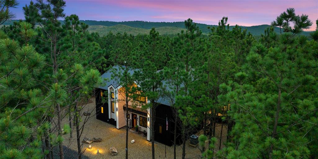 19 Bear Cedar Trail Property Photo 48