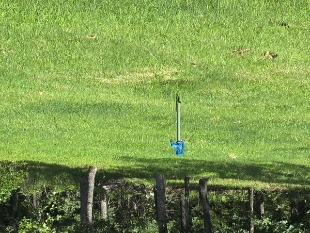 29176 Trigger Drive Property Photo 15