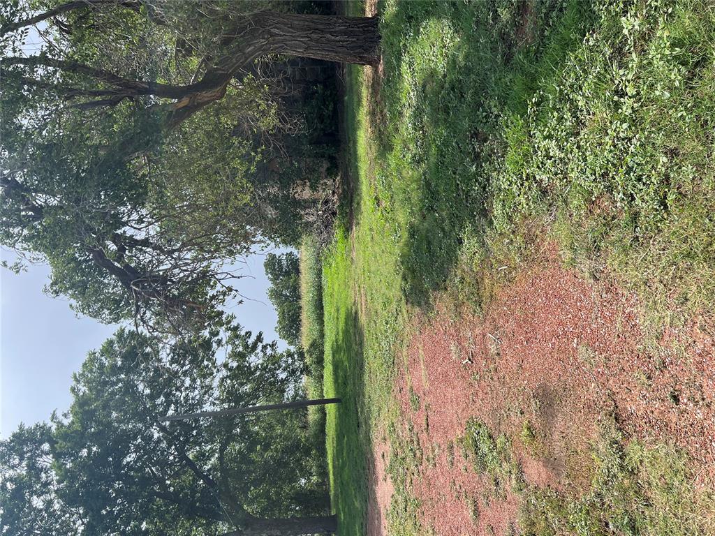 1237240 Property Photo 5