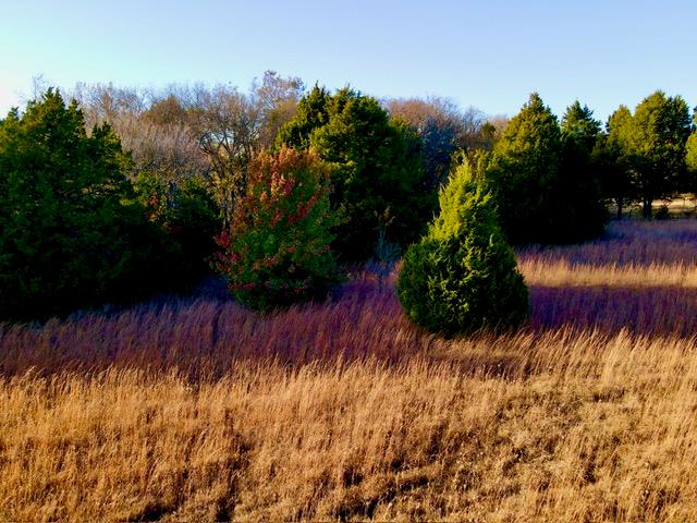 1201 N Main Highway Property Photo 4