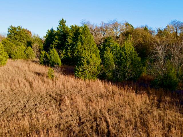 1201 N Main Highway Property Photo 6