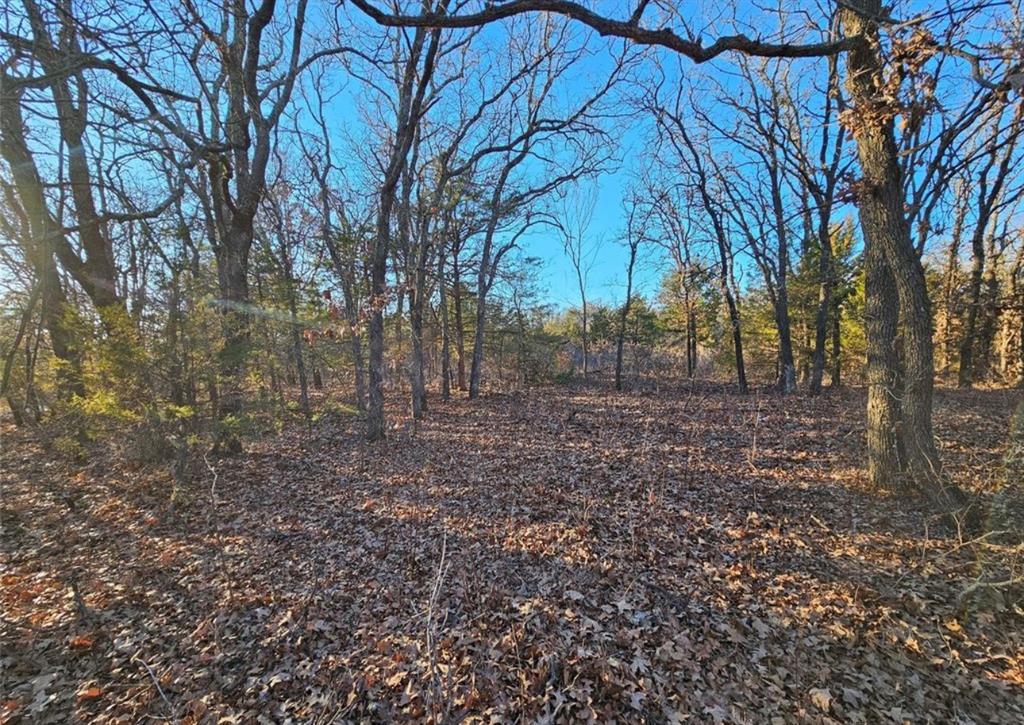 32 Todd Drive Property Photo 2