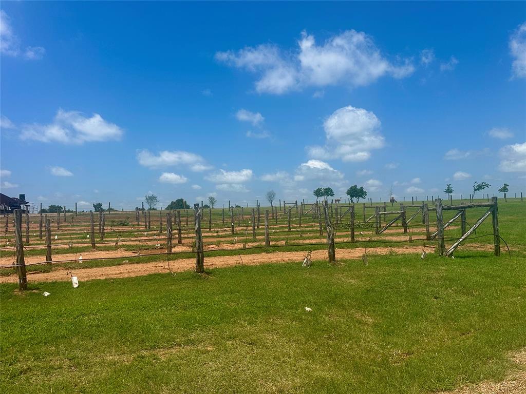 29868 Vineyard Meadow Road Property Photo 5