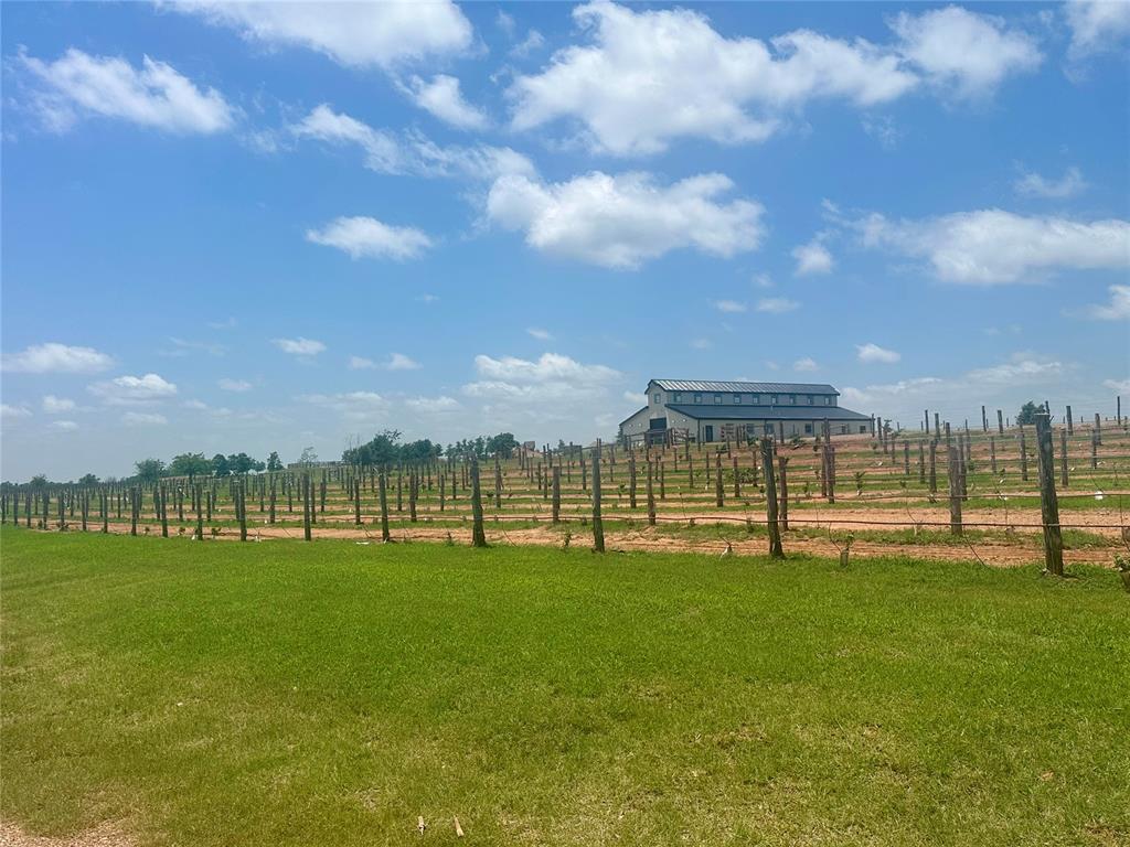 29868 Vineyard Meadow Road Property Photo 6