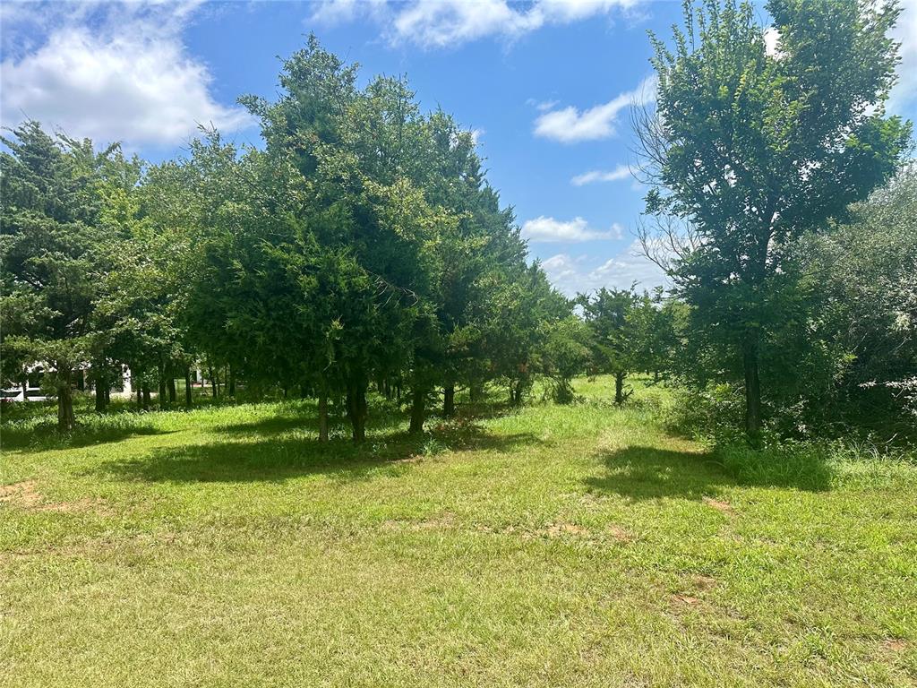 30210 Mesquite Way Property Photo 4