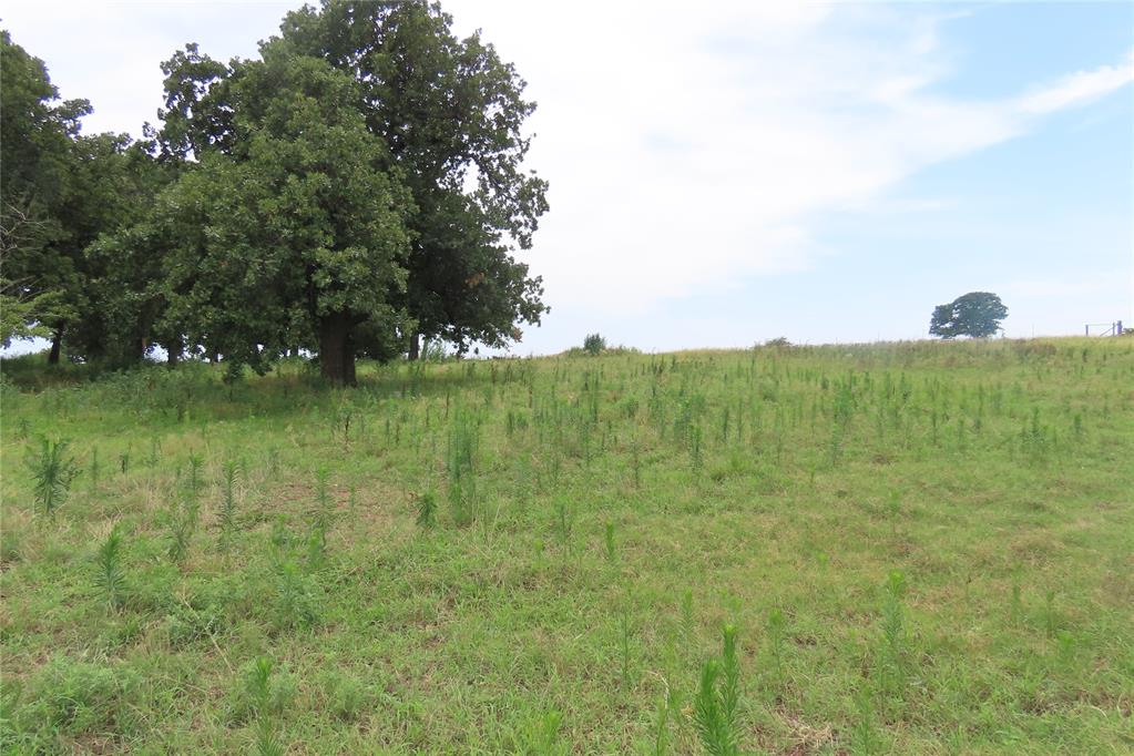 1801 Cheyenne Lane Property Photo 30