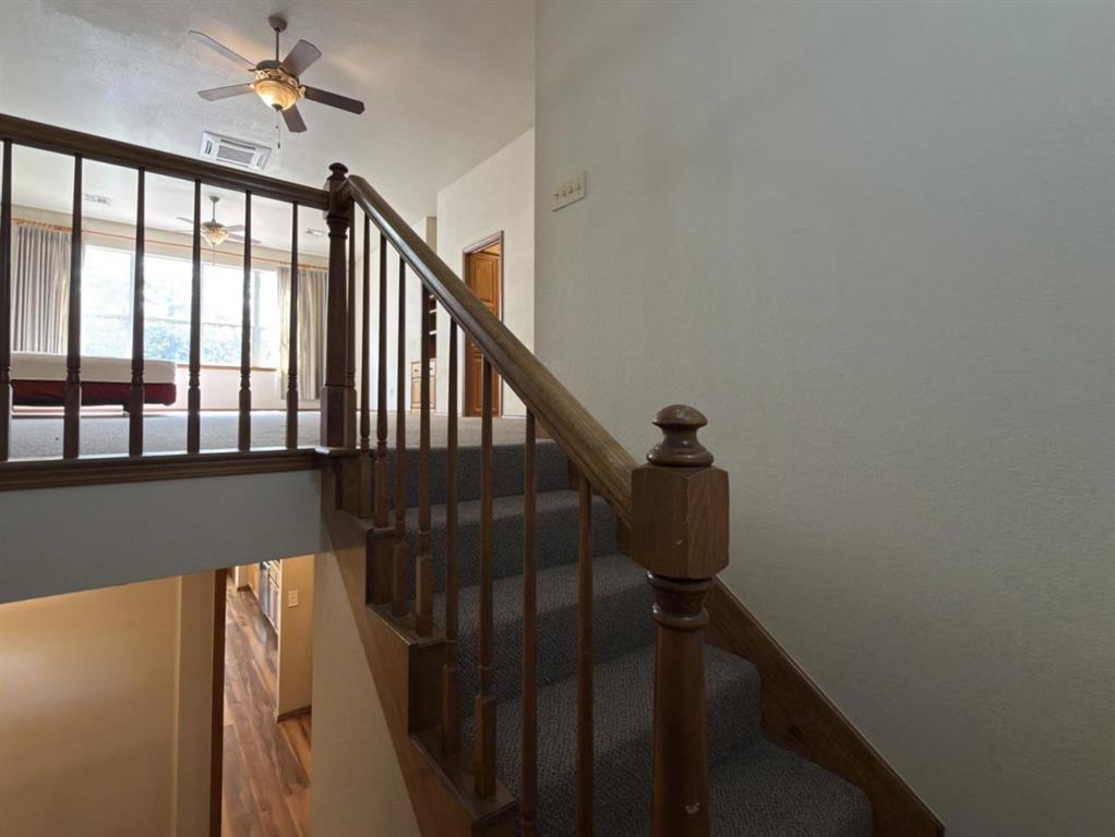 3001 Harriet Street Property Photo 29