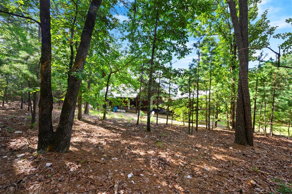 315 Banjo Lane Property Photo 46