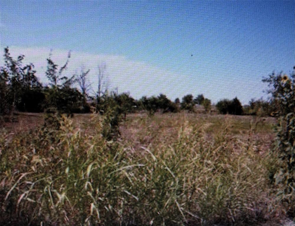 2 Se Sunnyside Drive Property Photo 3