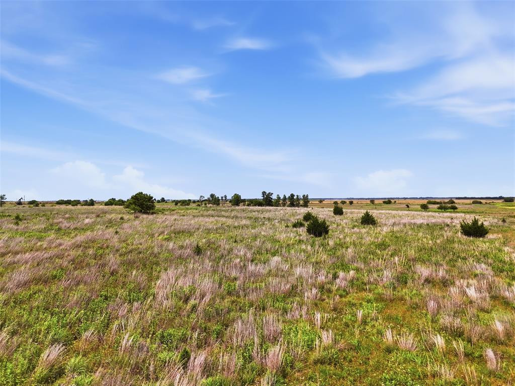E County Line Road Property Photo 24