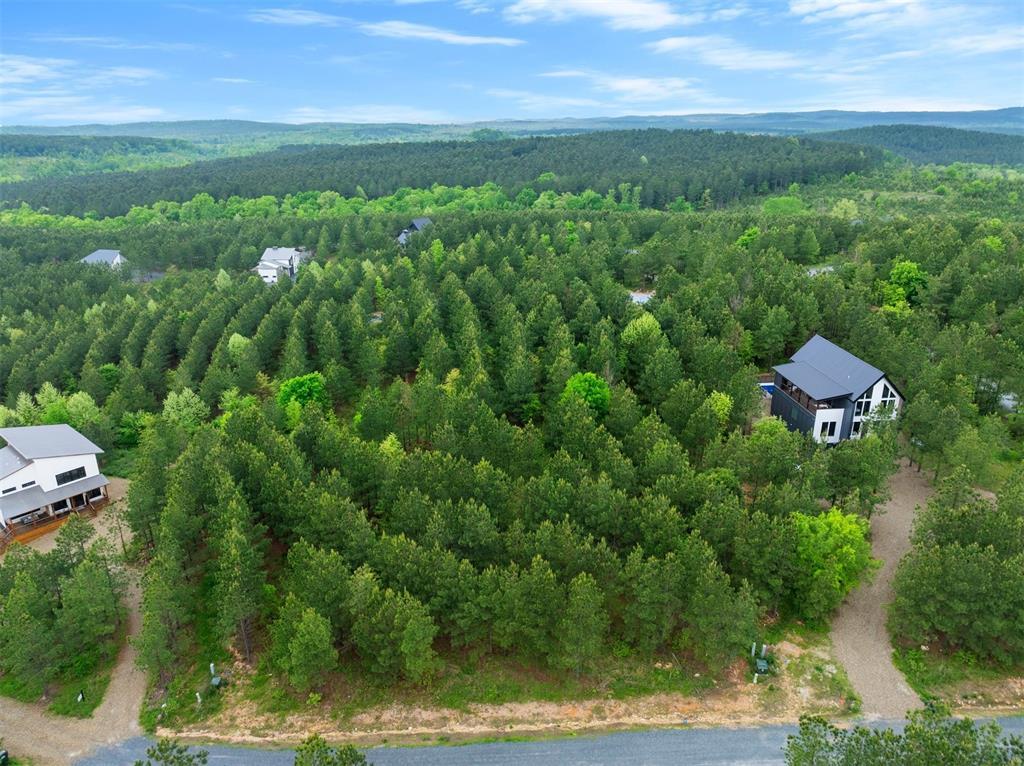 53 Pine Root Court Property Photo 1