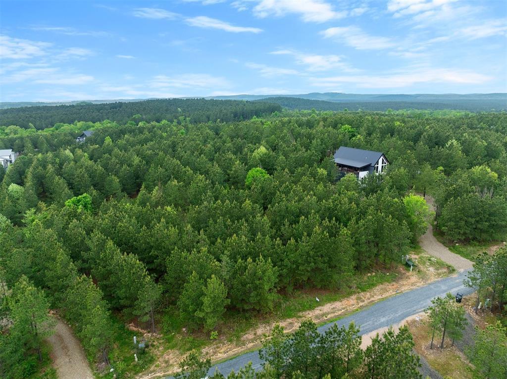 53 Pine Root Court Property Photo 2
