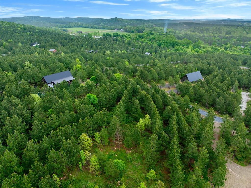 53 Pine Root Court Property Photo 3