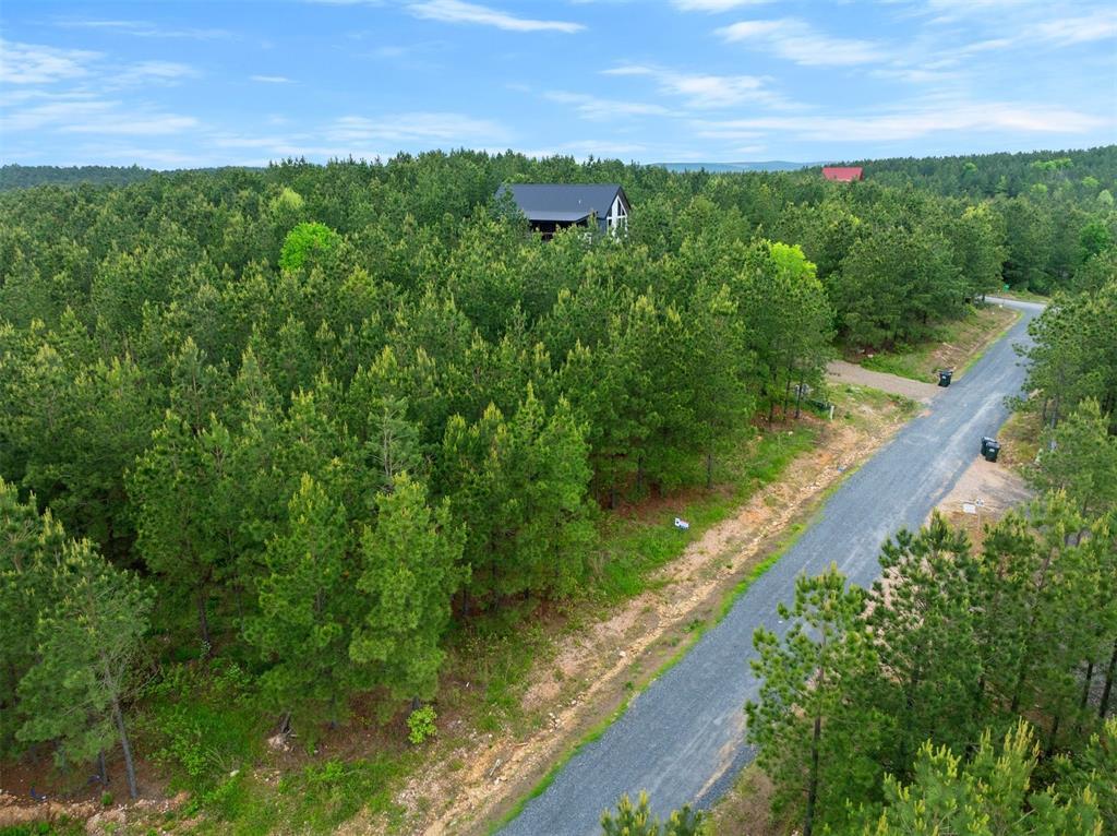 53 Pine Root Court Property Photo 4