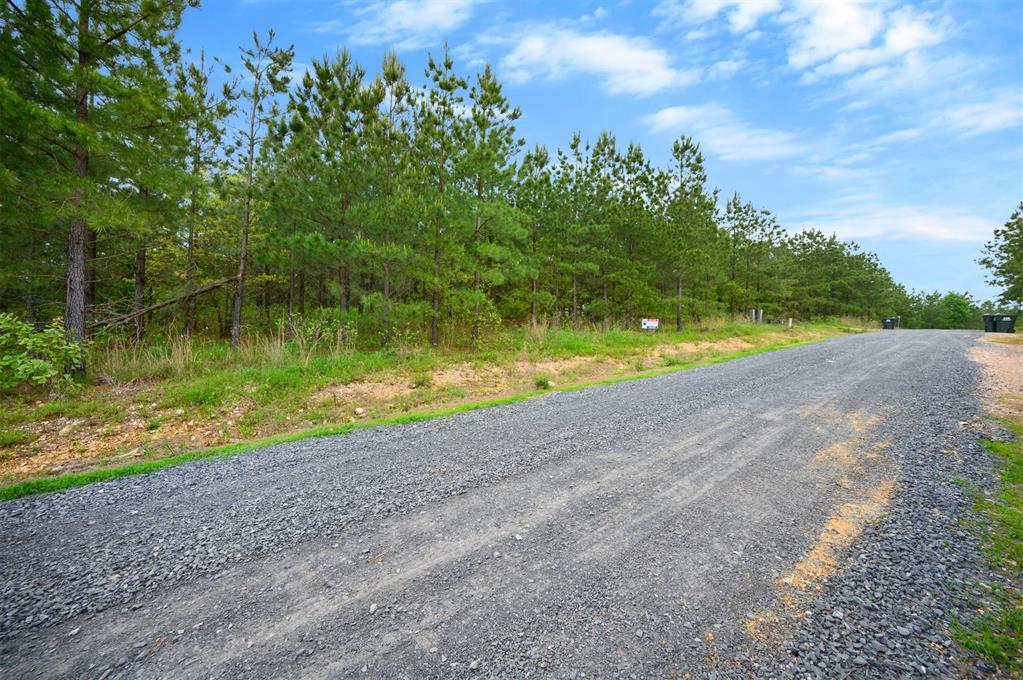 53 Pine Root Court Property Photo 5