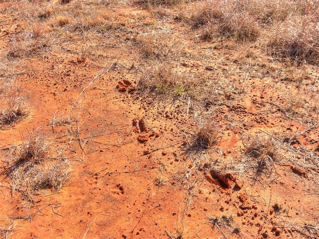 940606 S 3360 Road Property Photo 19