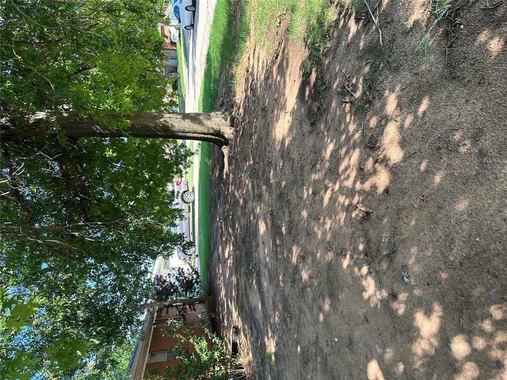 101 Burton Place Property Photo 23