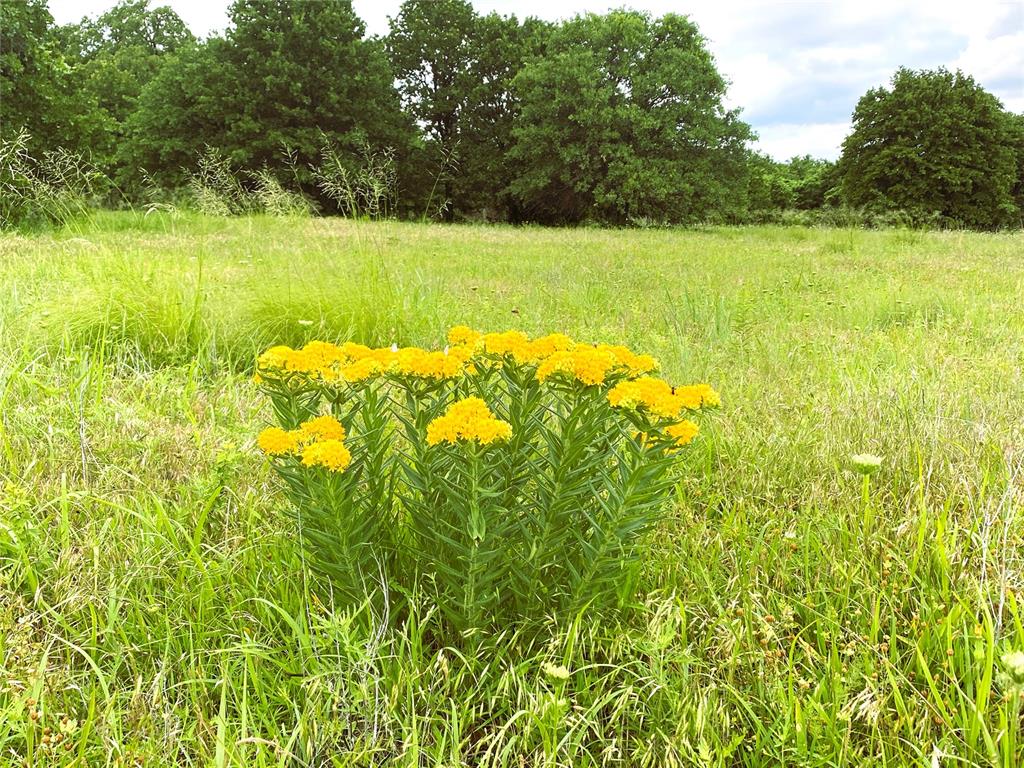 Grumman Road Tract 9 Property Photo 5