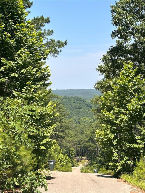 85 Green Apple Trail Property Photo 1