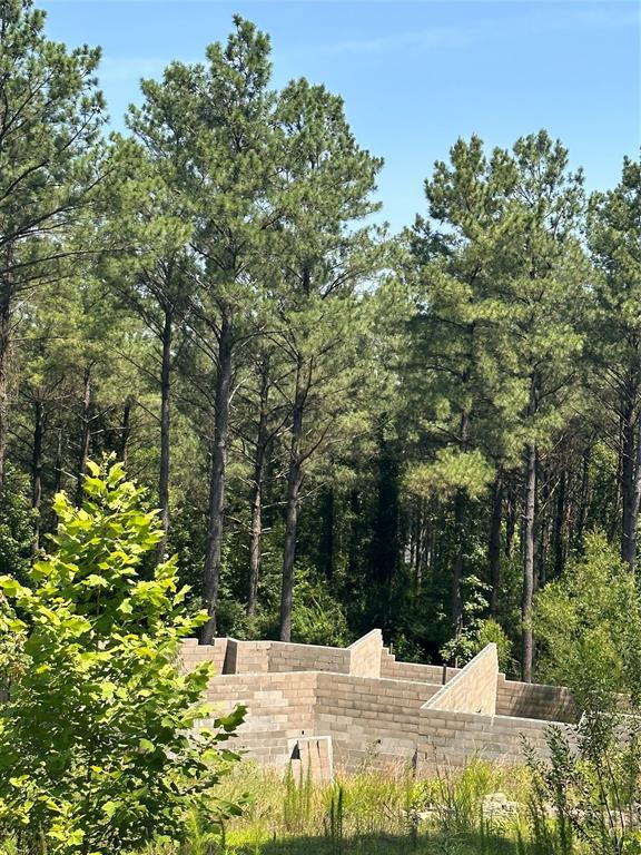 85 Green Apple Trail Property Photo 2
