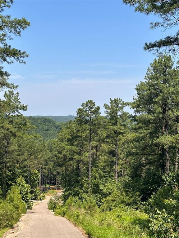 85 Green Apple Trail Property Photo 3