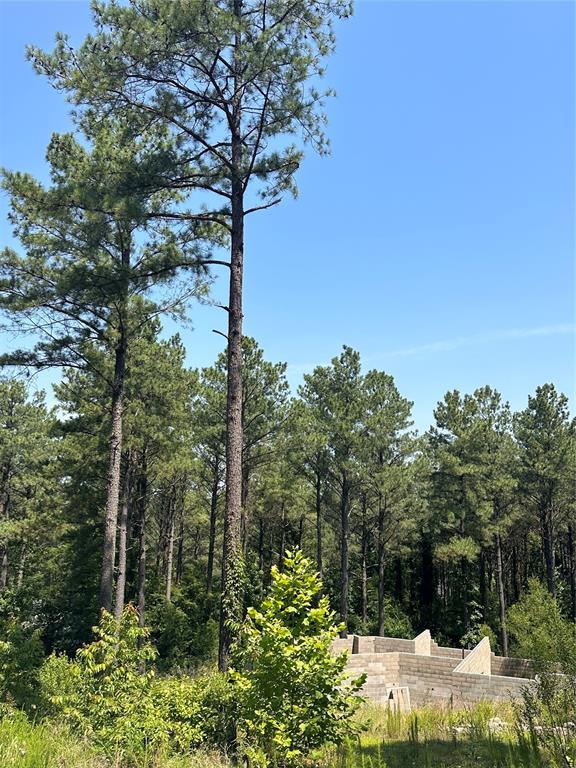 85 Green Apple Trail Property Photo 4