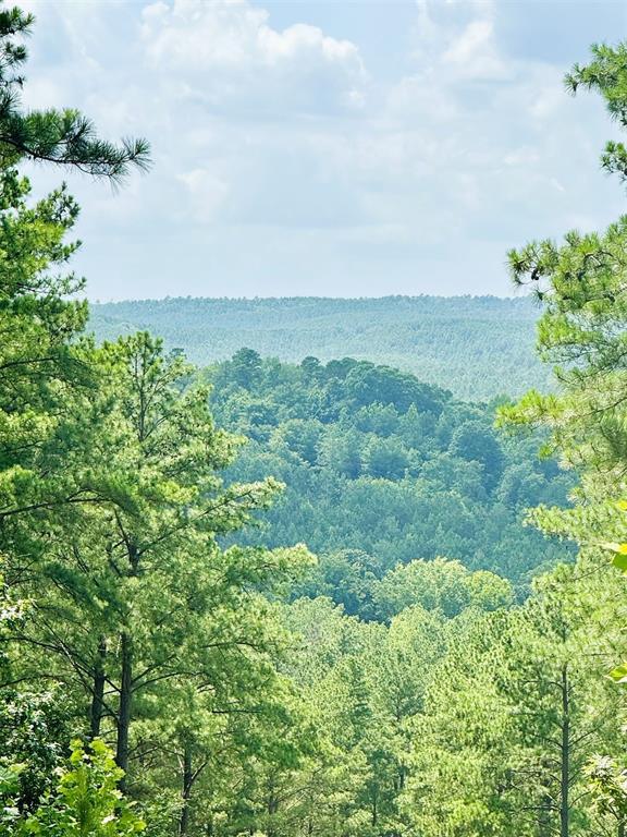 85 Green Apple Trail Property Photo 6