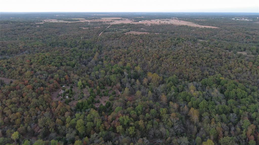 11680 N 367th Road Property Photo 5