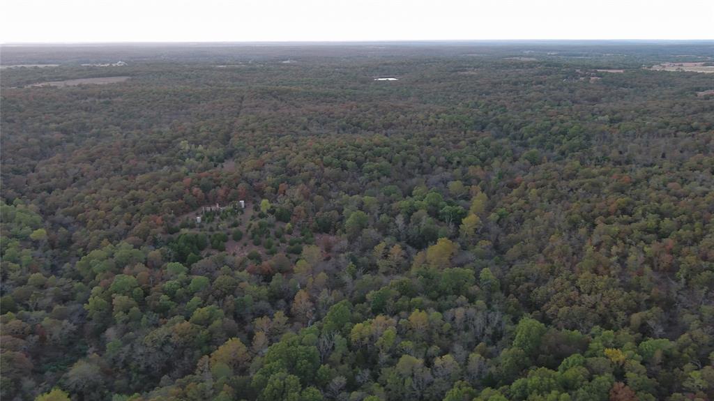 11680 N 367th Road Property Photo 7