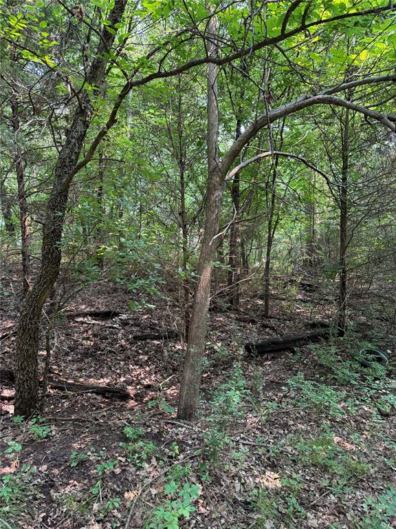 37447 Highway 19 Property Photo