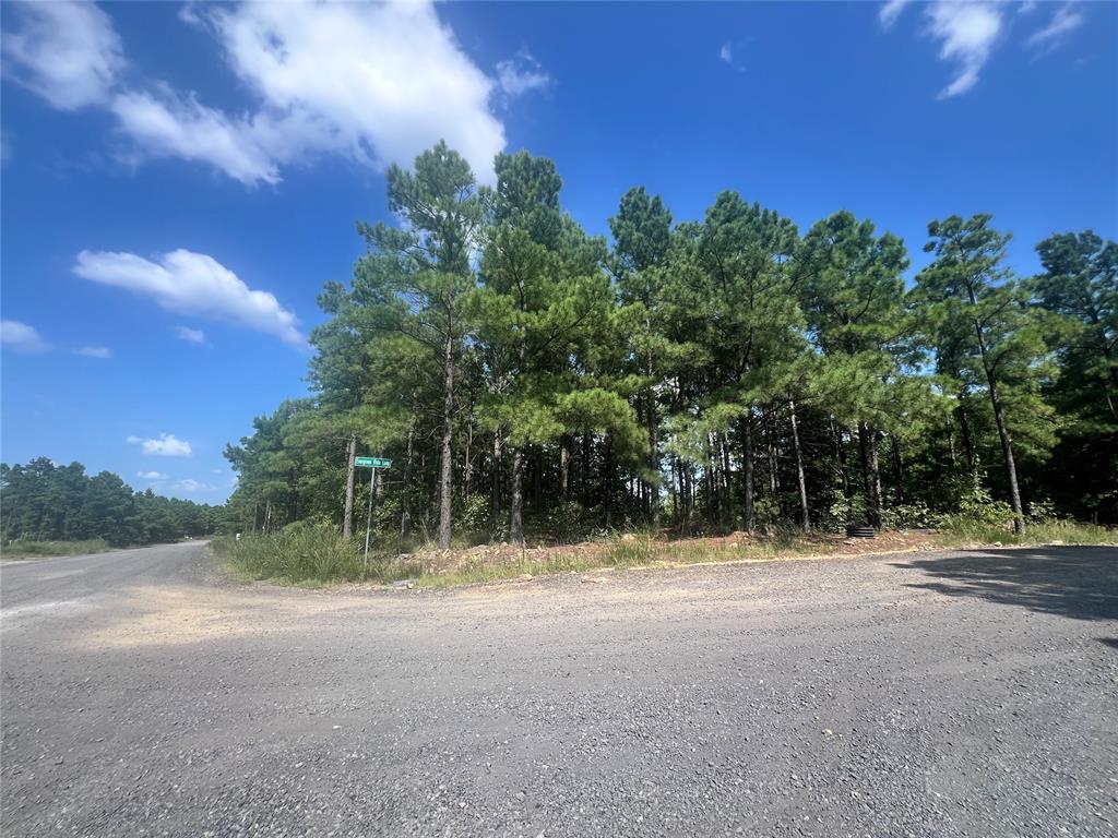 24 Evergreen Vista Loop Property Photo 1