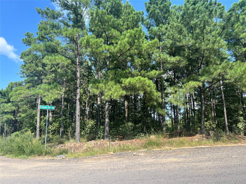 24 Evergreen Vista Loop Property Photo 3