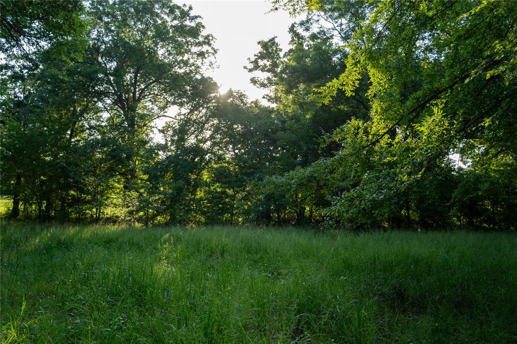 110009 N 3740 Road Property Photo 29